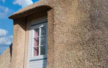 Boscean thatch roof disadvantages